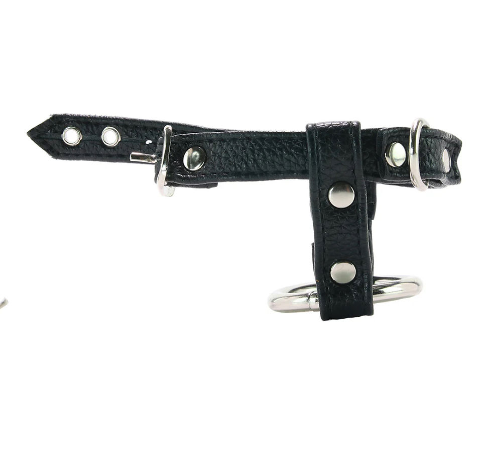 Thumbnail: Blueline Men Blue Line Duo Cock and Ball Lock