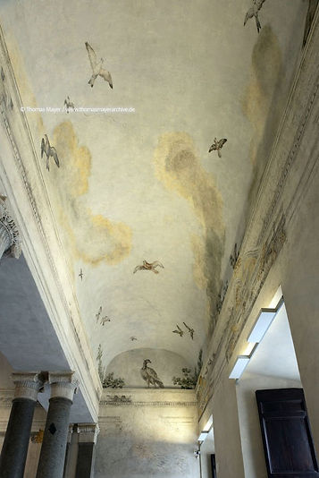 Salone delle Colonne