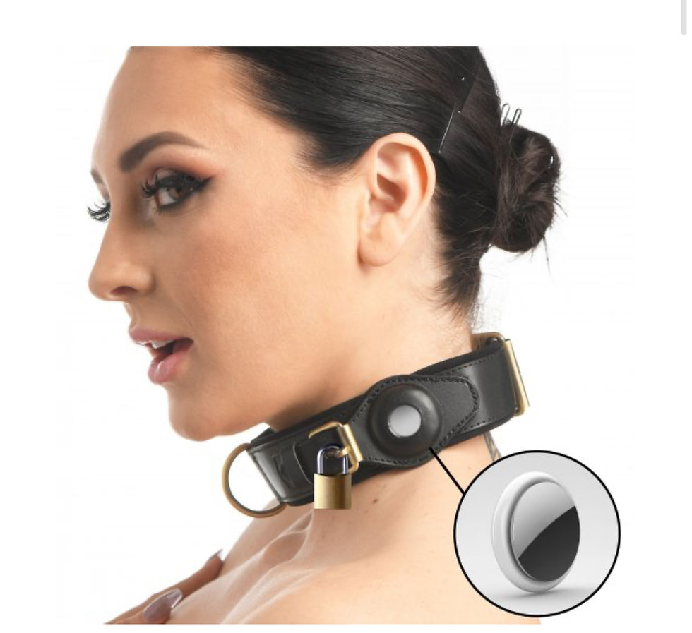 Thumbnail: Master Series - Tracer Tracking Collar