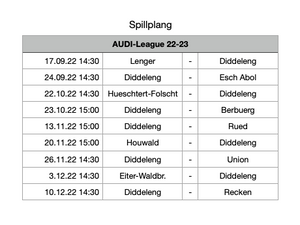 Audi-League: Spillplang DTD