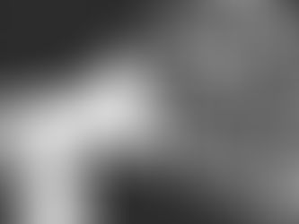 O SONHO (O FANTASMA?) DA CIBERDEMOCRACIA