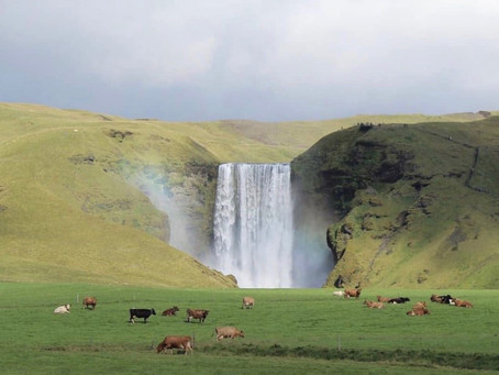 10 Beautiful Ways to Celebrate our Earth at Home