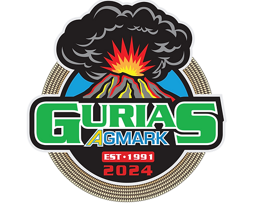 gurias logo roud-est 1991 2024-01.png