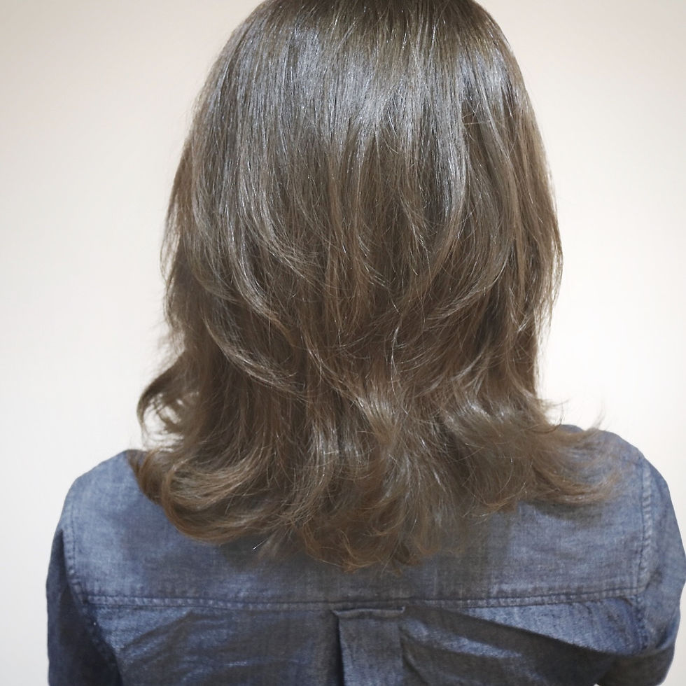 アディクシーシル�バー