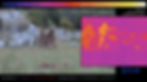 4 Thermal Imaging Ghillie Suit effectivenes test - ProApto - FLIR.jpg