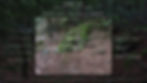 ProApto AAME Jute versatility ghillie suit environment 1 mixed pine woods 1100mt altitude