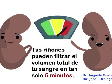 Trabajadores incansables ¡Cuídalos !