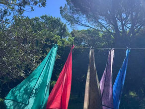 Carnet de Voyageuse en Provence et Camargue