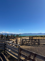 les bords du lac Argentino
