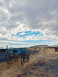 Patagonian landscape