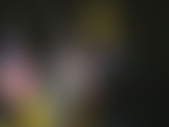 ‘Spirit of the Workforce’ 2025 Winners