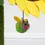 Thumbnail: DOUBLE BLOOM SUNFLOWER
