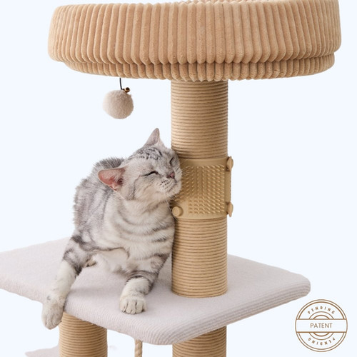 Anywhere Massager | PetPals 2025 Official Website