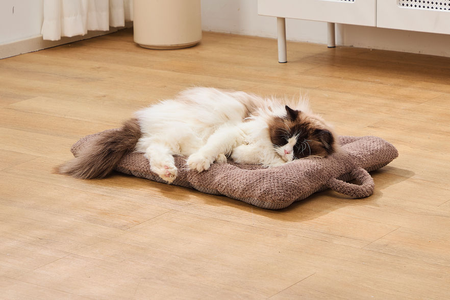 CozyPaws Insulated Pet Mat cat sleeping