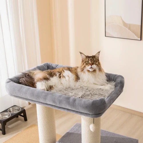 Cat tree bed hot sale