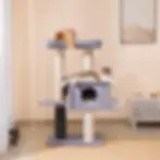 Lulu 2