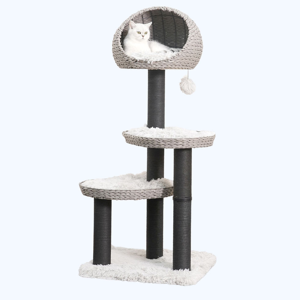 Copy of Email Marketing Square (47).jpg