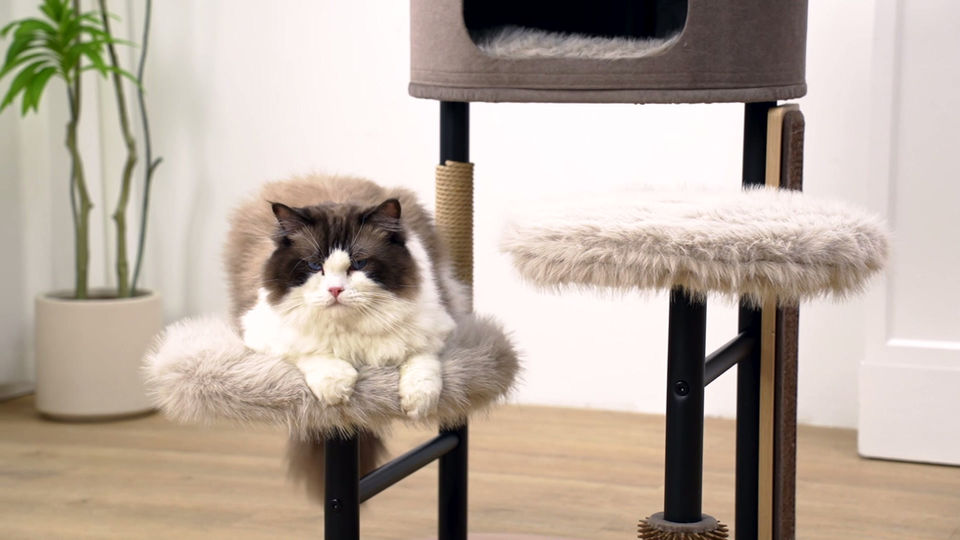 Brown 4-level cat tree with soft shag cushions, 2 natural sisal posts, a jute scratching post and a full body massager.