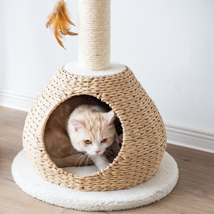 Petpals Walk Up PP2574 cat tree with a cat condo