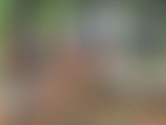 Waterford Library: A Habitat Hero