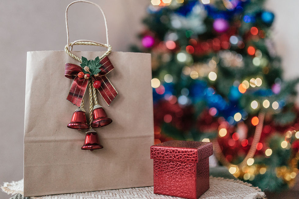 christmas-gift-in-a-craft-bag-on-the-background-of-2021-12-22-18-51-34-utc.jpg