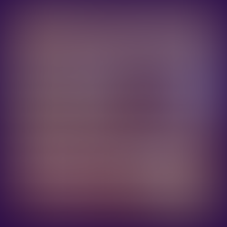 Reflecting on a Year of Fitness: Celebrating Success and Learning from Challenges