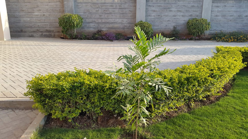 Thumbnail: PALATIAL MAISONETTE CHUNA KITENGELA