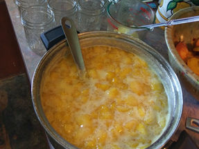 Canning Peaches (Jam and Chutney)