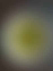 Asparagus Soup