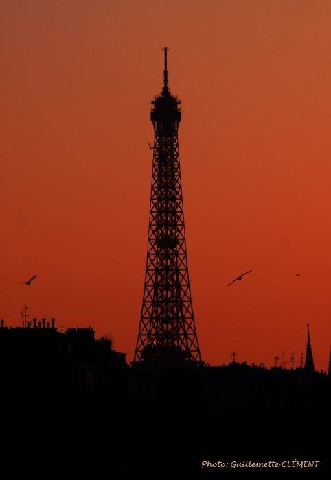 par 0039