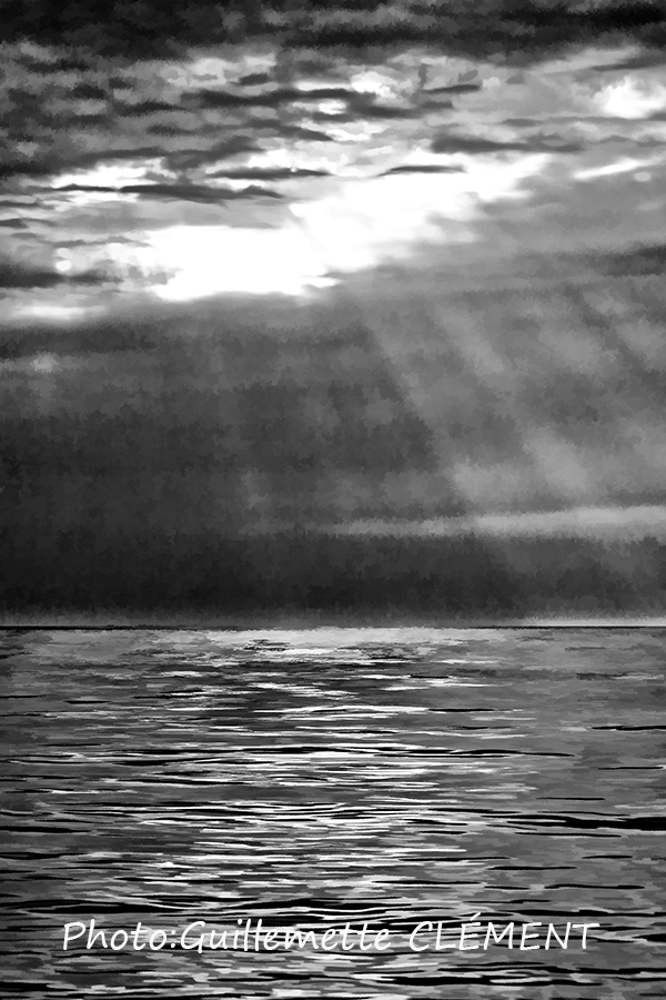 NOIR 104