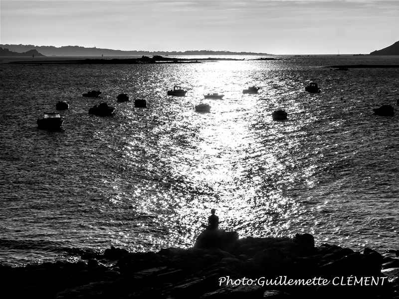 franc 299 bretagne