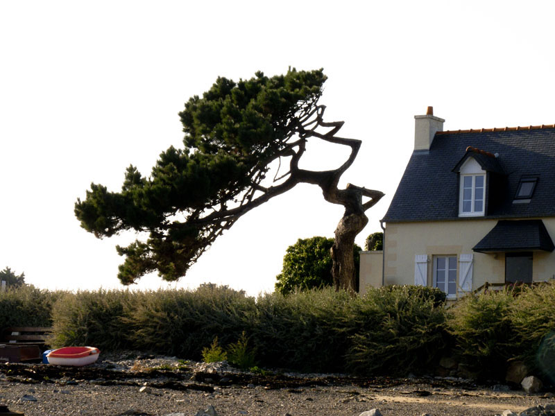 franc 00057 Bretagne