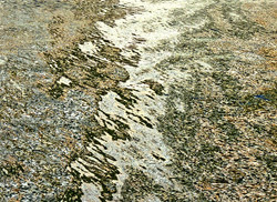 reflet 2.jpg