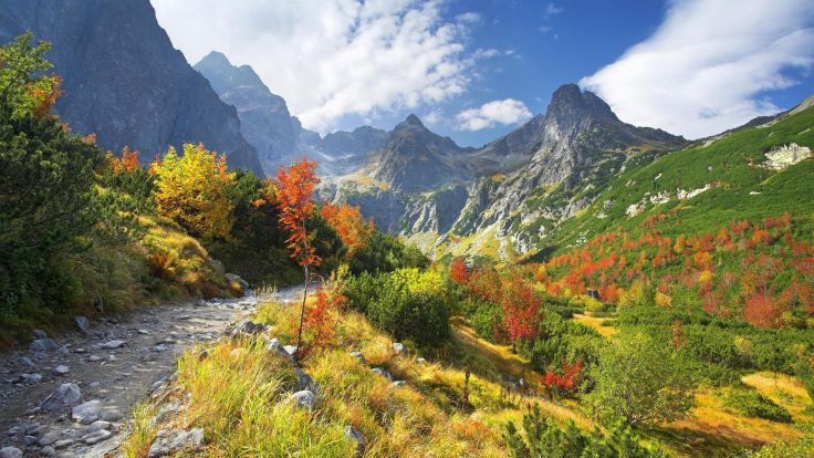 Valley