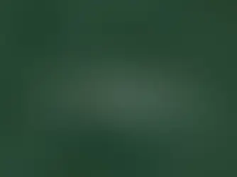 a happy couple at their wedding.