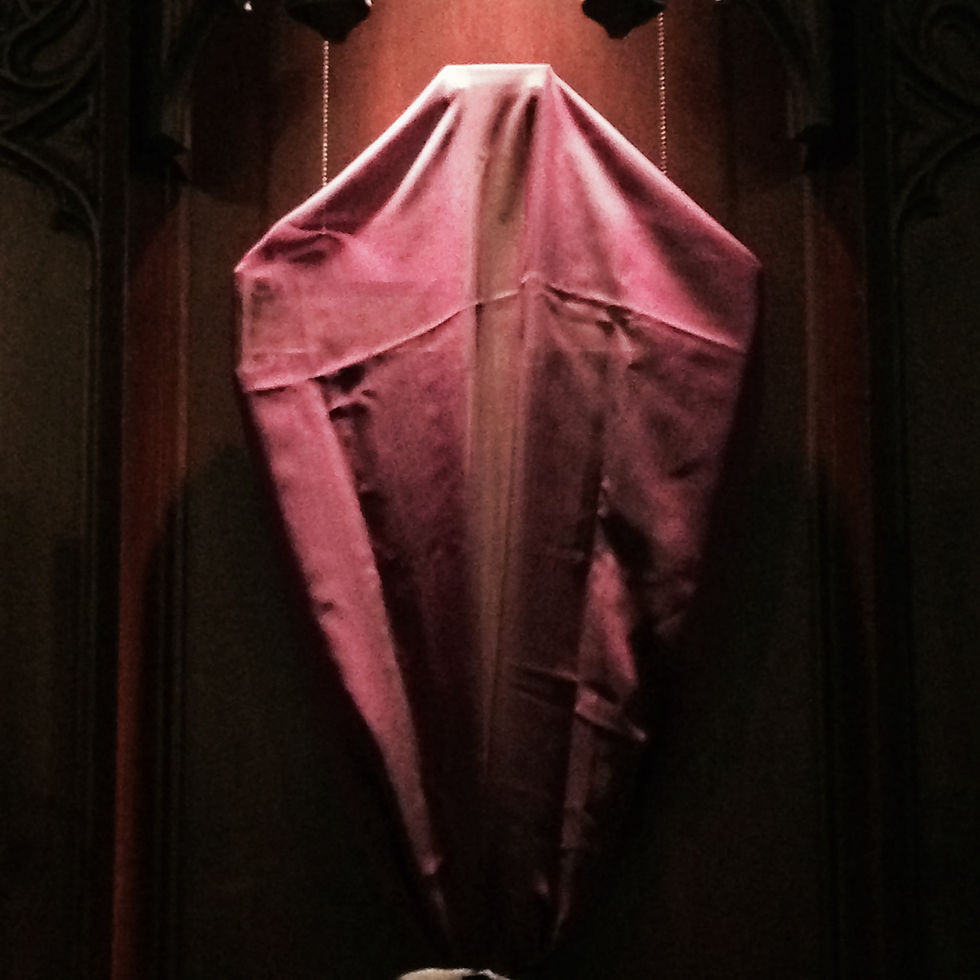 veiled-cross-on-palm-sunday