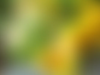 7月Lessonより