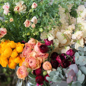 ラナンキュラス。まだまだひらきます♪