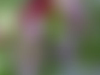 5月の終わりに。