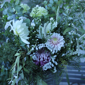 ダリアとシルバーグリーン