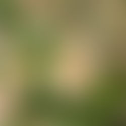 様々な色・カタチ