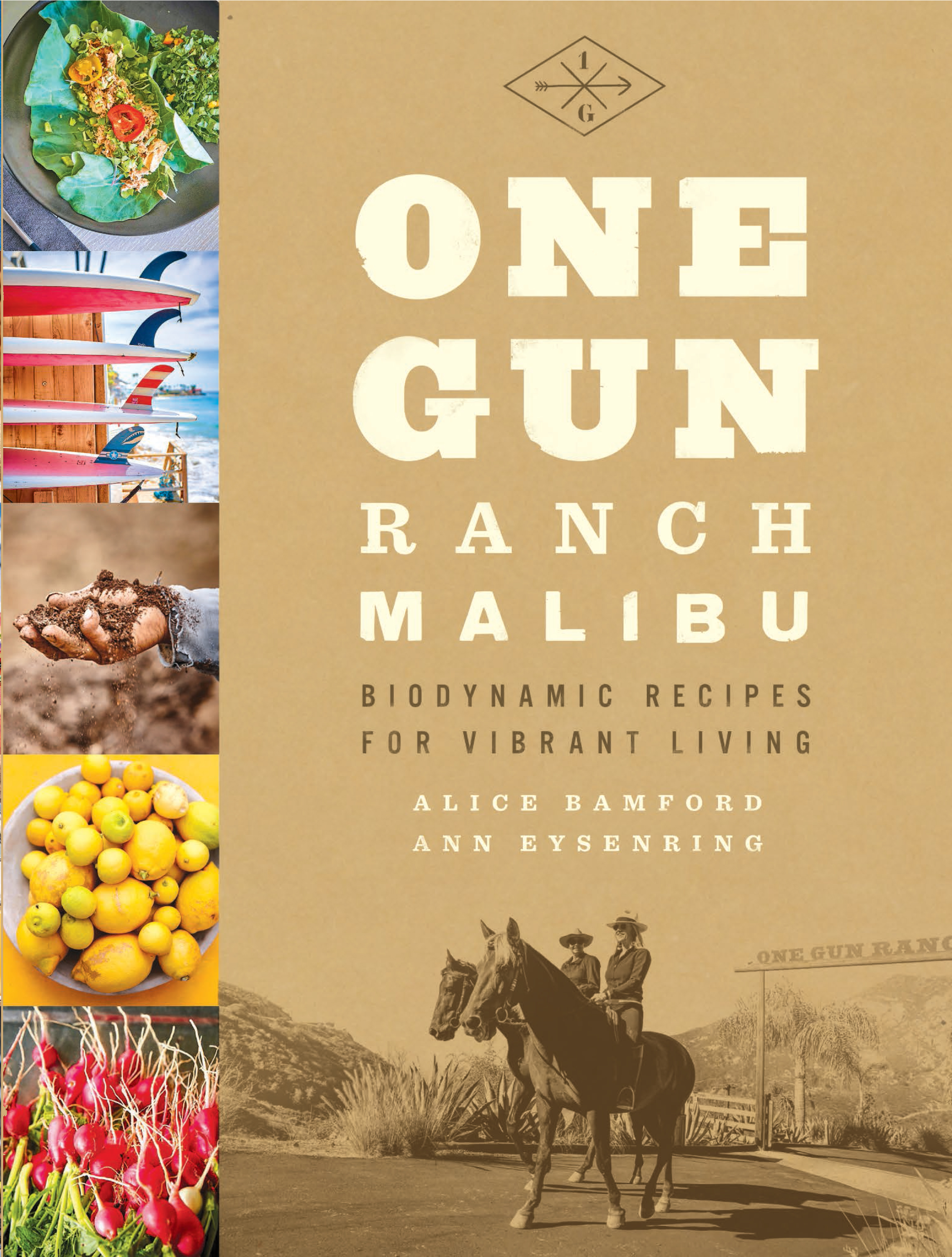 OneGunCover