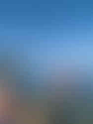 Pospravljenje pedalinov