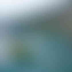 Na bele skale z vsemi plovili