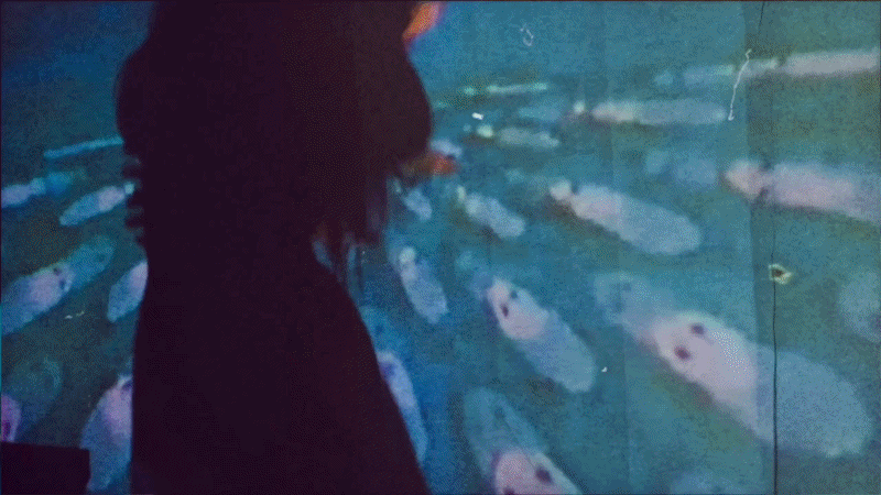 Curtain Call GIF 2.gif