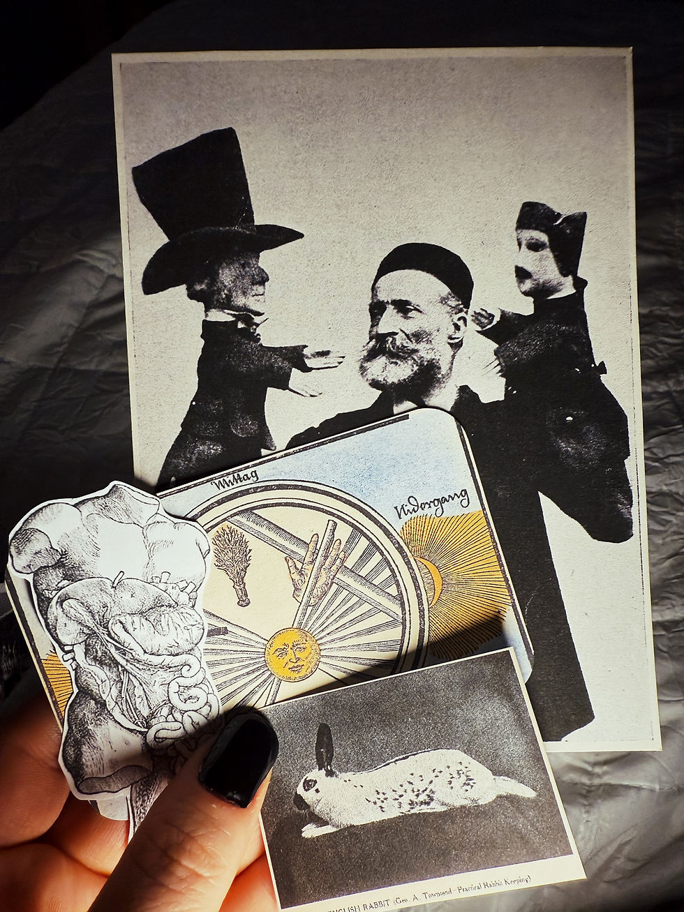 Thumbnail: Ephemera Box of Papers - Curiosities 1st Edition