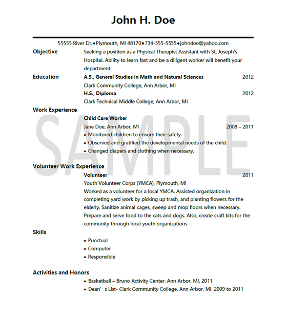 Example Resume