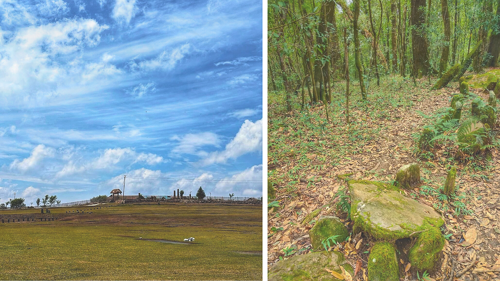Mawphlang Sacred Forest Story