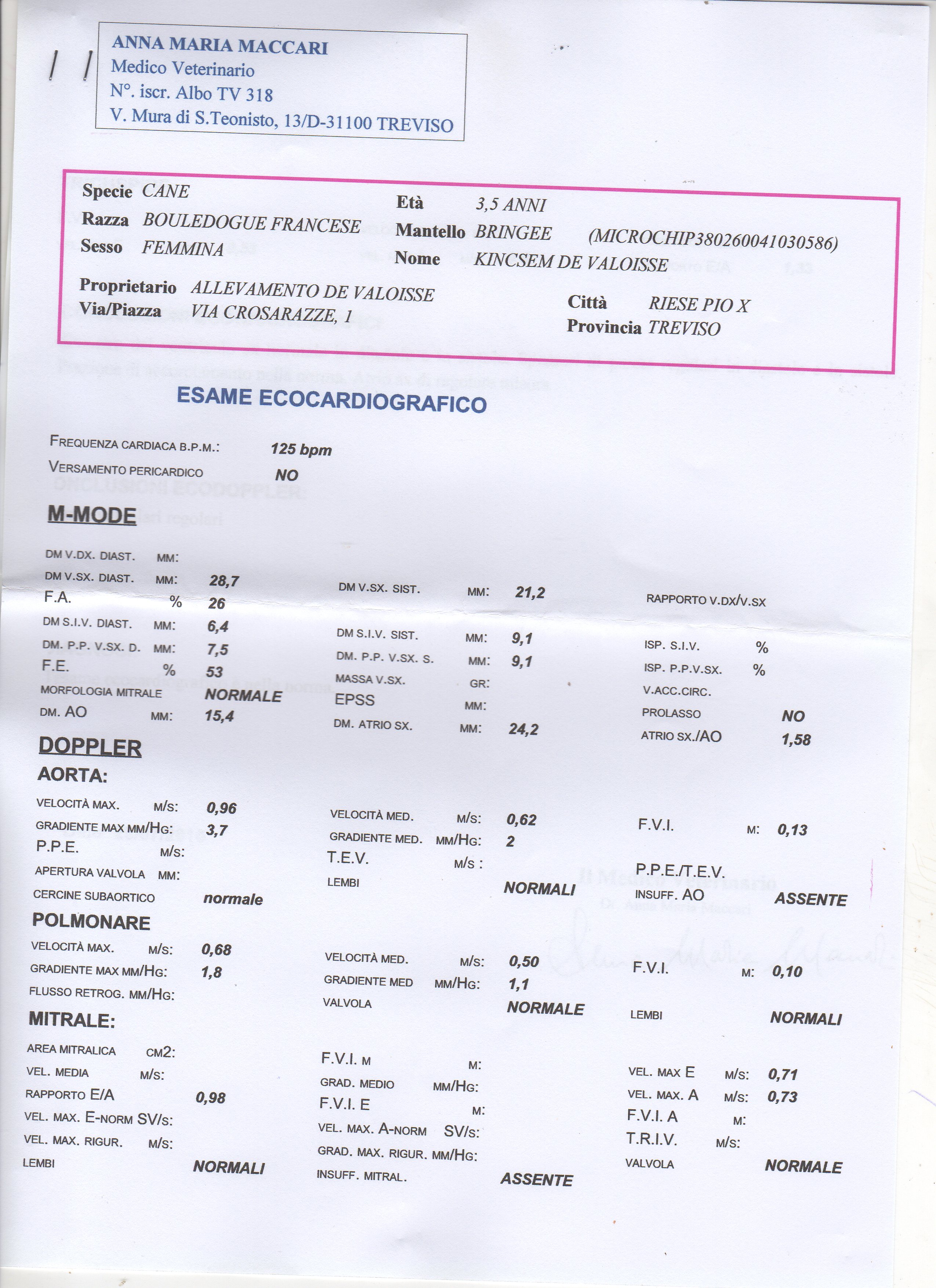 Kincsem cardio